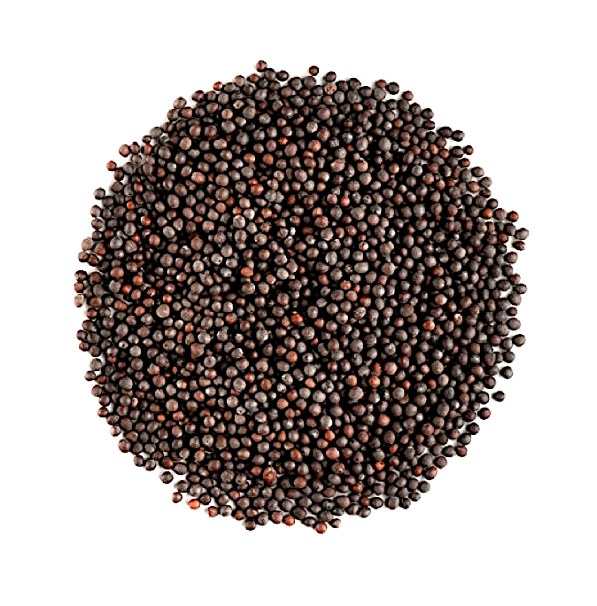 gapinga