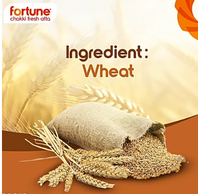 Fortune Chakki Fresh Atta, 1 kg Pouch